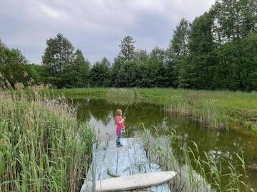 Фото номера Бунгало Дома для отпуска Domek Drewniany г. Nowa Wola 96